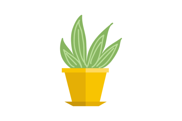 Decorative Plants: Natural Design Elements for Every Project
