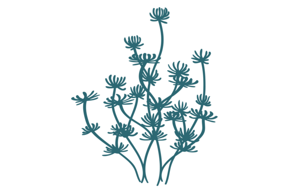 Unleashing Nature’s Elegance: The Aquatic Plant Typeface
